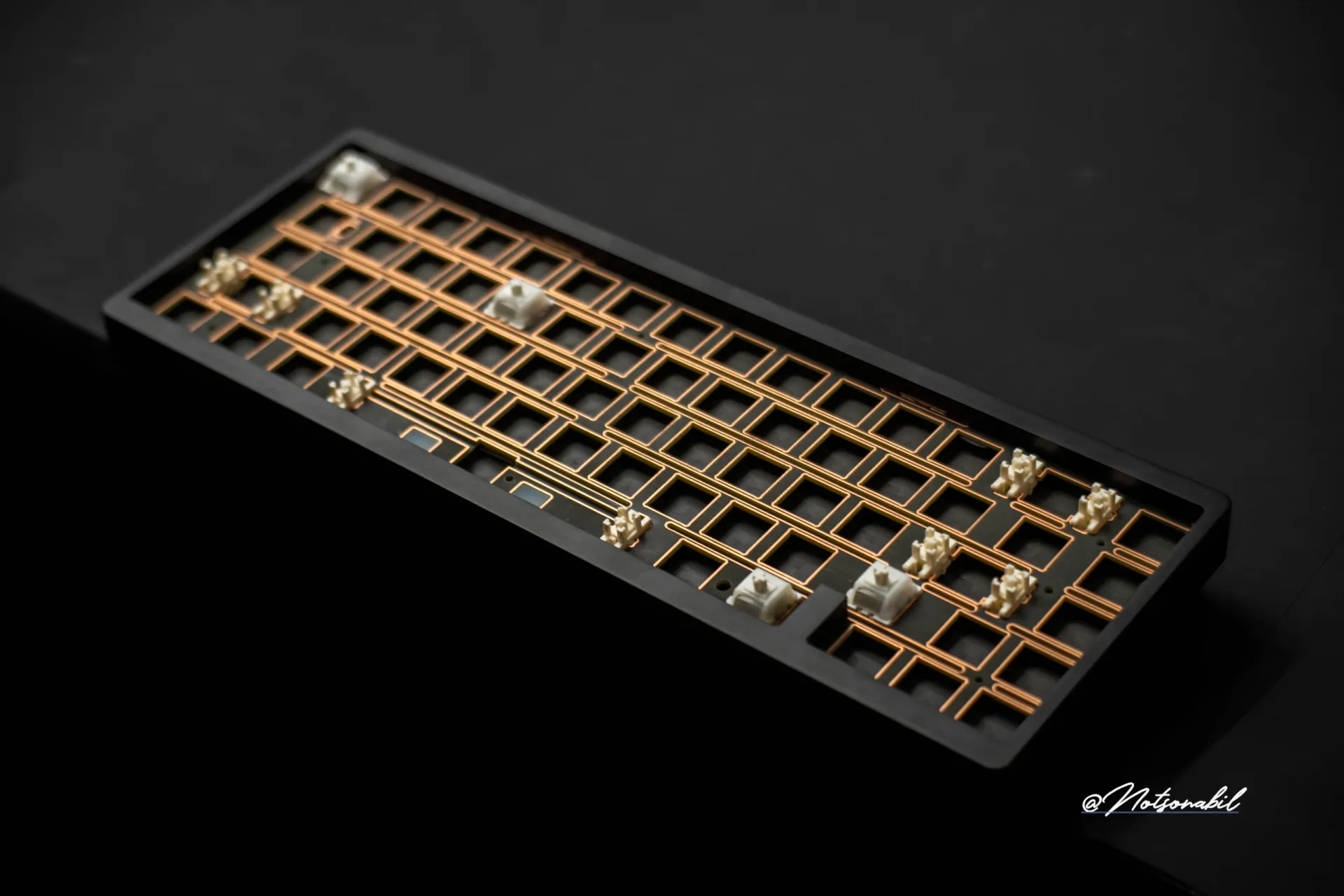 Weikav Nut65 photoshoot 1