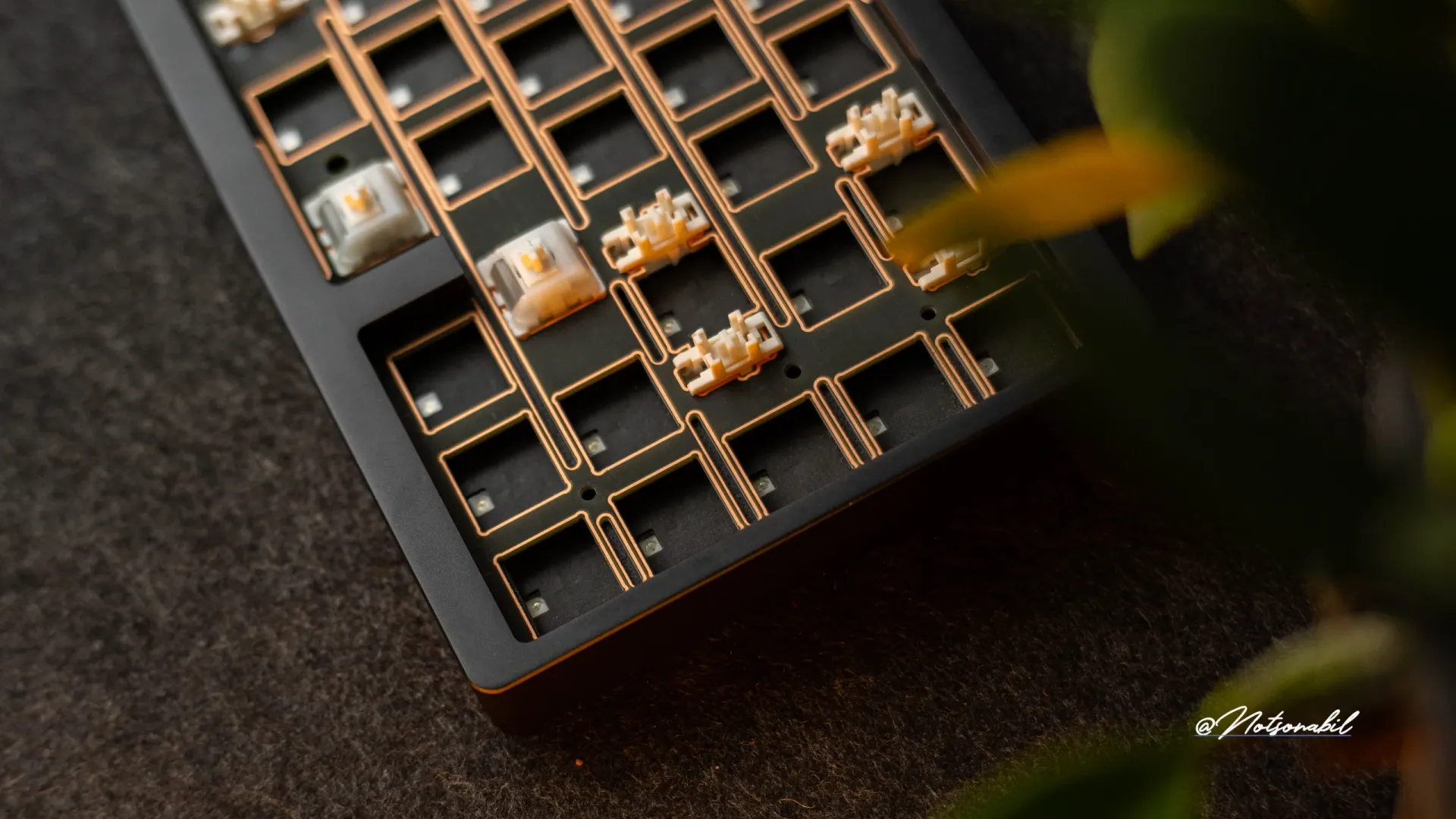 Weikav Nut65 photoshoot 3